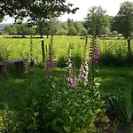 Bed & Breakfast 17 St 4*