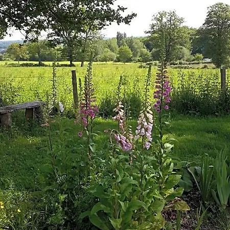 Bed & Breakfast 17 St 4*